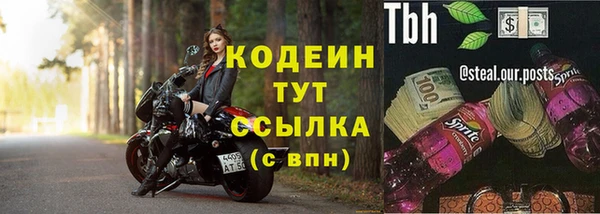 гидропоника Горняк