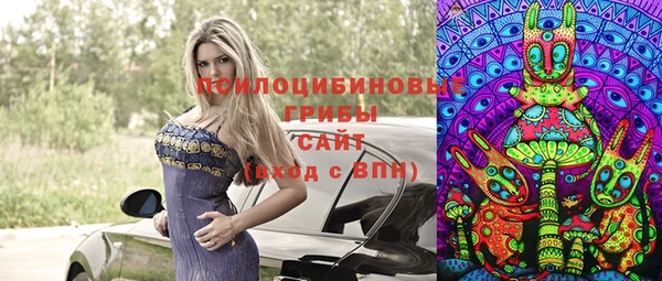 трава Горно-Алтайск